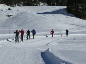 Cross Country Skiing